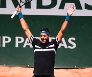 Alle halve finalisten op Roland Garros zijn bekend: ook Juan Martín del Potro is erbij