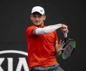 Goffin gaat kansloos ten onder in zestiende finales