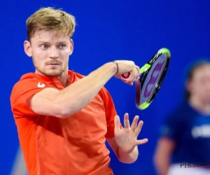 Geknokt en gewonnen: Goffin houdt taaie opponent af in tiebreaks