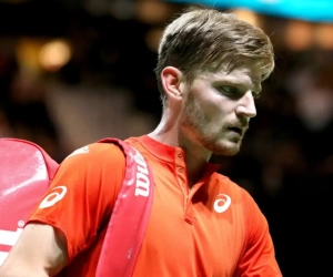 Net niet voor Goffin: Amerikaans talent is in twee spannende sets te sterk