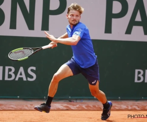 Goffin mist na finale tegen Murray virtuele titel op een haar na, Bertens bezorgt Lage Landen wel succes bij de dames