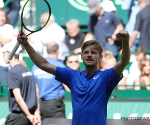 Daar is de échte David Goffin: nummer vijf van de wereld gaat voor de bijl na thriller