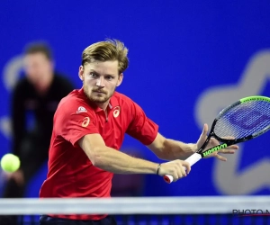 Vijf Belgen plaatsen zich rechtstreeks voor de hoofdtabel op de Australian Open, Goffin enige man