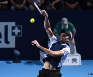 Karlovic knokt zich naar finale in Rosmalen