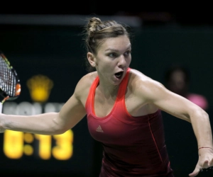 Topper in de Fed Cup: Halep komt als winnares uit absolute kraker en mag naar halve finales