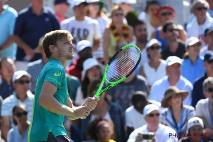 David Goffin met de nodige moeite naar tweede ronde, voor Darcis zit de US Open erop