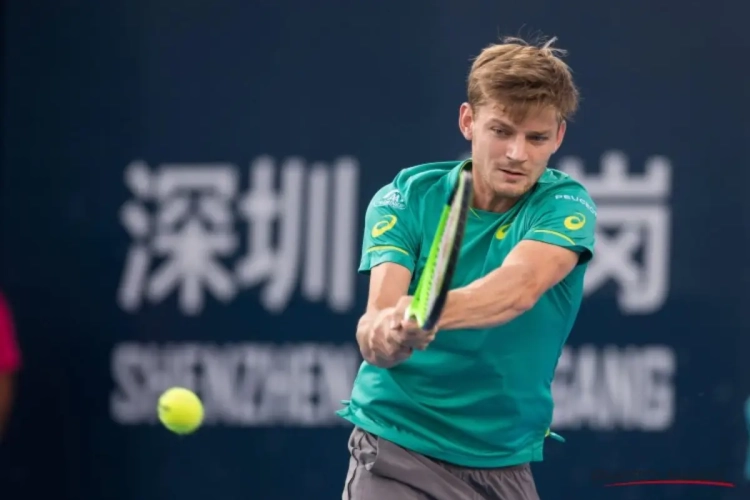 David Goffin en Elise Mertens doen voor het eerst sinds 2011 voor ons land een gooi naar het officieuze WK