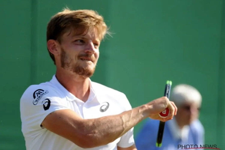 David Goffin kan gouden zaak doen mits winst tegen Zuid-Afrikaanse reus Kevin Anderson