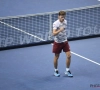 Veel lof voor David Goffin: "Waarom zou hij niet kunnen winnen van Nadal, Federer of Wawrinka?"