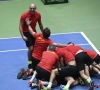 Darcis stunt opnieuw en bezorgt België zo onverwachte plek in de kwartfinale van de Davis Cup!