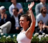 Pliskova en Halep vervolledigen halve finales Roland Garros