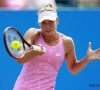 Wickmayer verliest in eerste kwalificatieronde van Australian Open