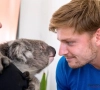 ? Goffin speelt tegen ... Goffin en Luikenaar amuseert zich met koala 