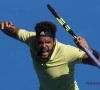 Spektakel in Antwerpen: Tsonga overleeft thriller tegen taaie Argentijn