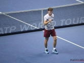 Veel lof voor David Goffin: "Waarom zou hij niet kunnen winnen van Nadal, Federer of Wawrinka?"