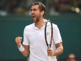 Cilic is eerste finalist in Wimbledon na strijd der titanen