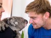 ? Goffin speelt tegen ... Goffin en Luikenaar amuseert zich met koala 