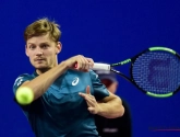 Alle Belgen weten waar ze voor staan! Ook David Goffin niet langer in het ongewisse