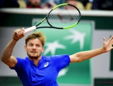 David Goffin laat er geen gras over groeien en gunt achtste reekshoofd in Halle slechts twee spelletjes