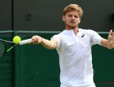 Goffin toont zich met rug tegen de muur van zijn beste kant en heeft revanche beet