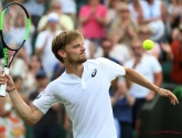 David Goffin speelt 'zijn beste tennis ooit op gras' en legt uit hoe dat komt