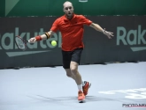 Steve Darcis leidt België naar eerste zege op Davis Cup