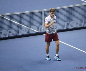 Veel lof voor David Goffin: "Waarom zou hij niet kunnen winnen van Nadal, Federer of Wawrinka?"