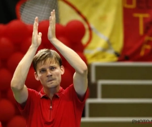 Goffin en Wickmayer winnen allebei een demonstratietoernooi ter voorbereiding op de Australian Open