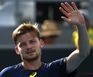 Goffin snakt naar rust en laat Davis Cup (even) aan zich voorbijgaan