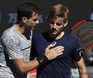 David Goffin: nog steeds niet de beste Belg ooit op een Grand Slam