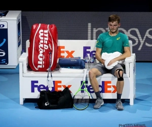 Waar liep het tegen Dimitrov mis voor Goffin? 