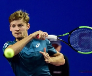 Alle Belgen weten waar ze voor staan! Ook David Goffin niet langer in het ongewisse