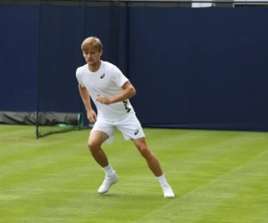 Ex-nummer één: "Met het niveau van eind 2017 kan David Goffin een grandslam winnen"