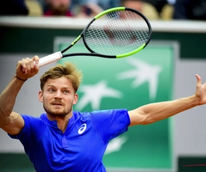 David Goffin laat er geen gras over groeien en gunt achtste reekshoofd in Halle slechts twee spelletjes