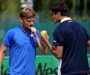 David Goffin aan de zijde van Franse maatje ook in het dubbelspel succesvol in Halle