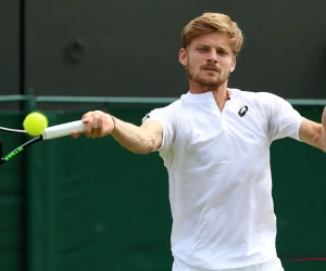 Goffin toont zich met rug tegen de muur van zijn beste kant en heeft revanche beet