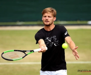 Goffin in bloedvorm kan voor primeur zorgen: "Dit is een gouden kans"