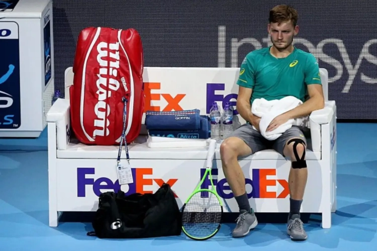 Waar liep het tegen Dimitrov mis voor Goffin? 