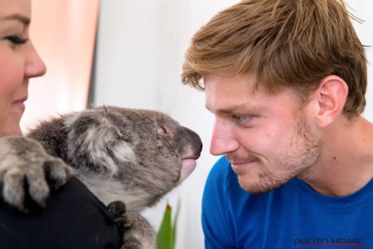 ? Goffin speelt tegen ... Goffin en Luikenaar amuseert zich met koala 