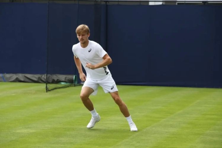 Ex-nummer één: "Met het niveau van eind 2017 kan David Goffin een grandslam winnen"